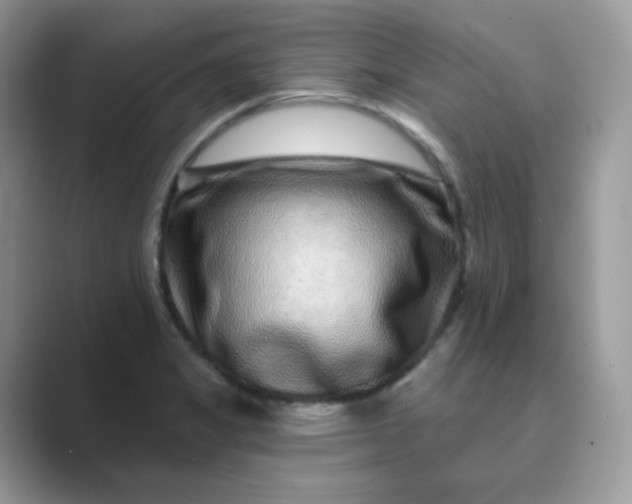 X0000089741325200707051750