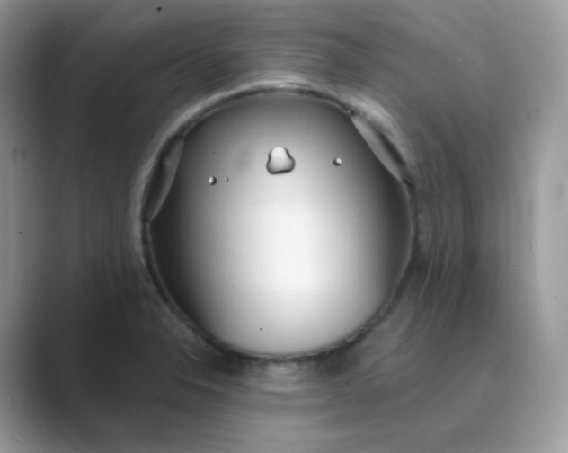 X0000089741326200707051750