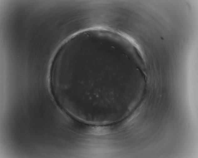 X0000089741327200707051750