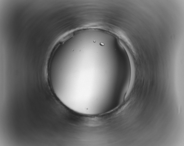 X0000089741328200707051750