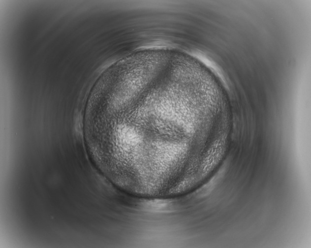 X0000089741329200707051750