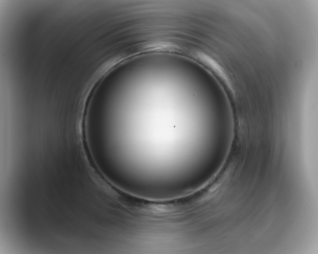 X0000089741330200707051750