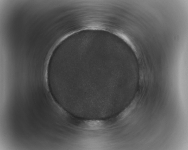 X0000089741331200707051750