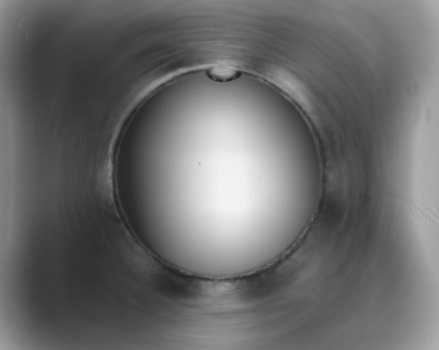 X0000089741332200707051750