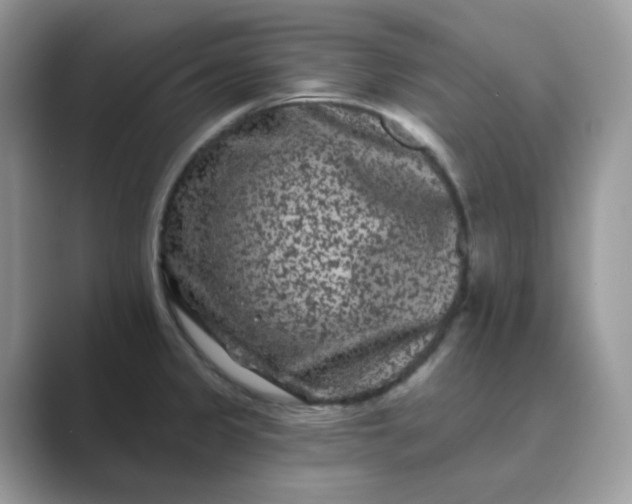 X0000089741333200707051750