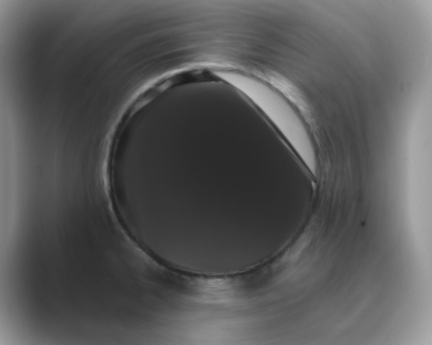 X0000089741334200707051750