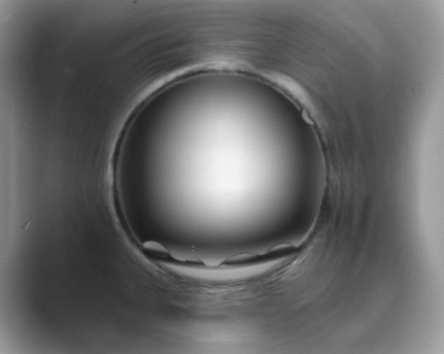 X0000089741335200707051750