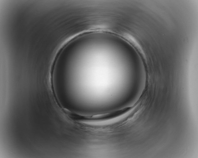 X0000089741336200707051750