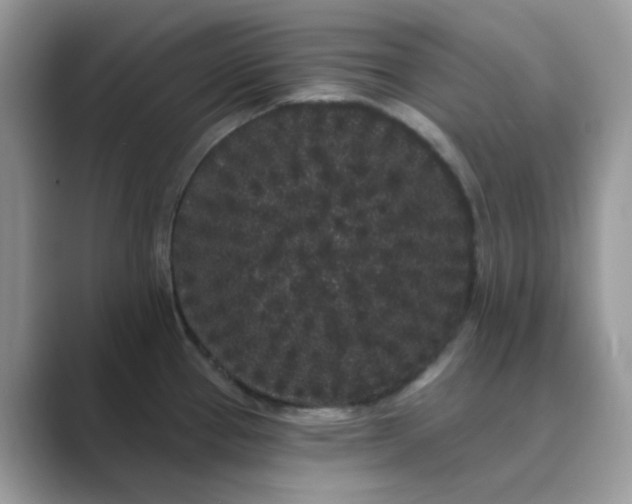 X0000089741337200707051750