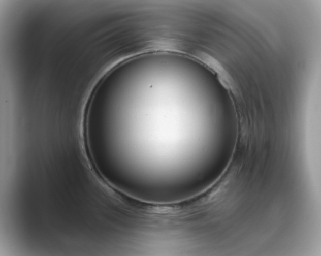 X0000089741339200707051750