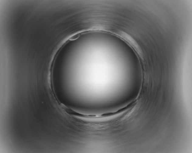 X0000089741340200707051750