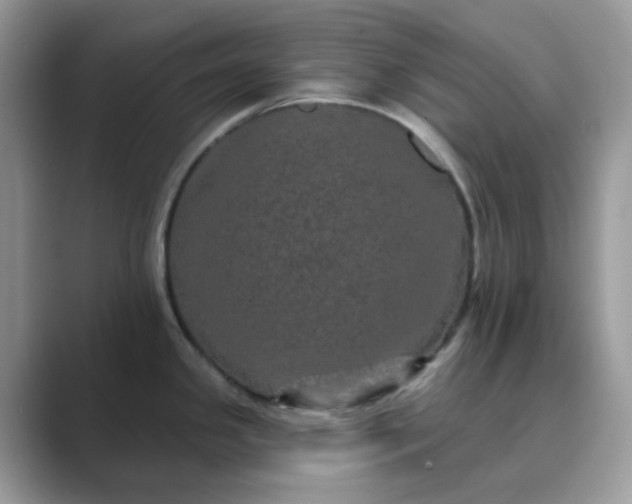 X0000089741341200707051750