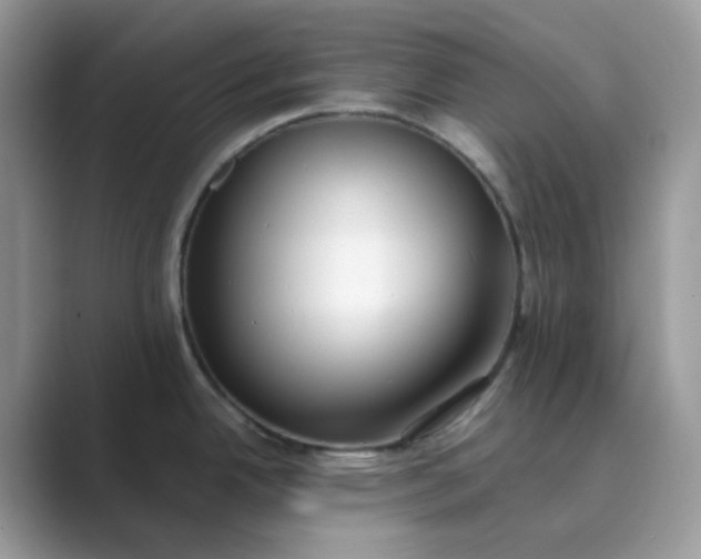 X0000089741342200707051750