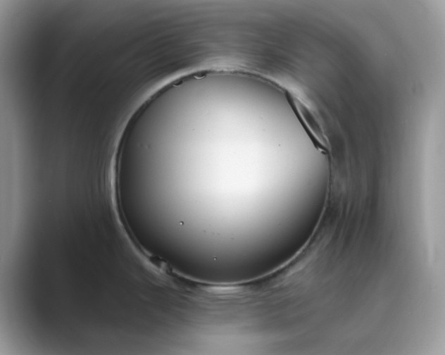 X0000089741343200707051750