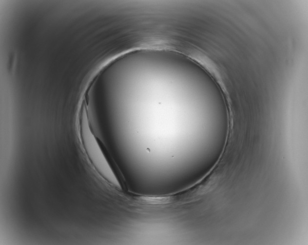 X0000089741344200707051750