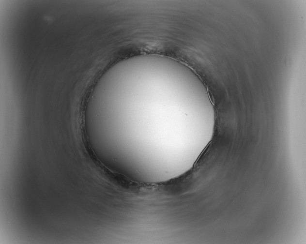 X0000089741345200707051749