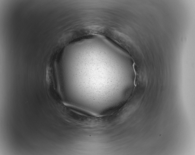 X0000089741346200707051749