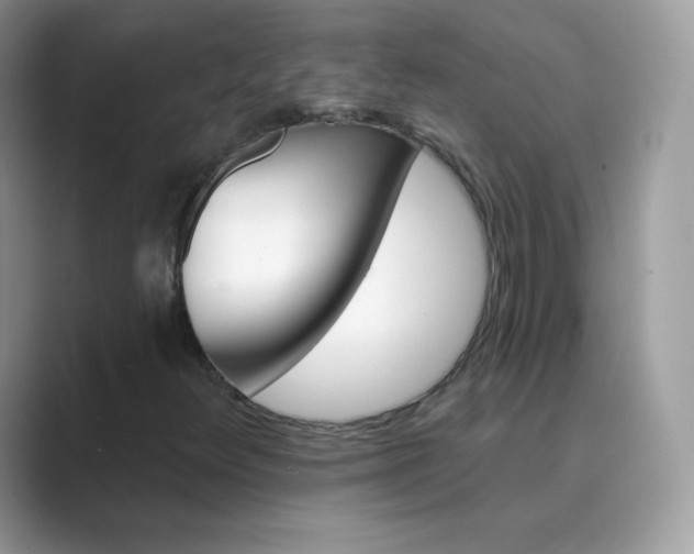 X0000089741348200707051749