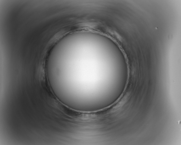 X0000089741354200707051749