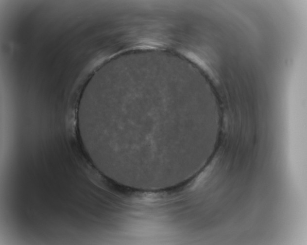 X0000089741355200707051749