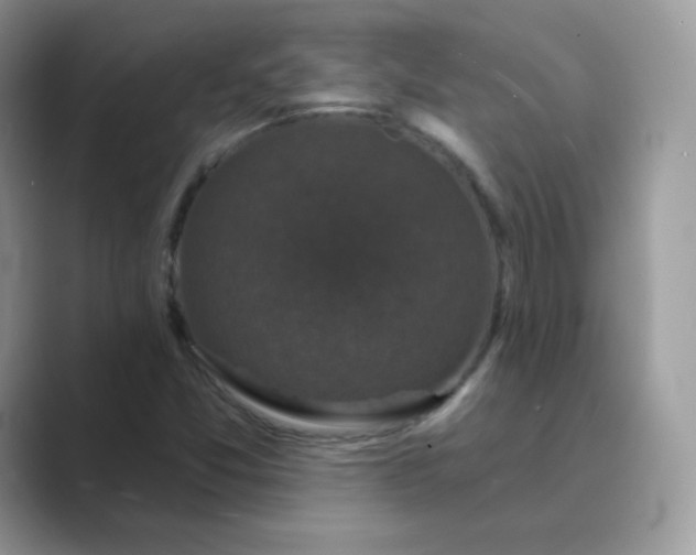 X0000089741357200707051749