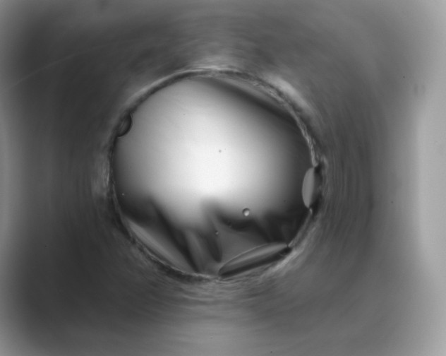 X0000089741358200707051749