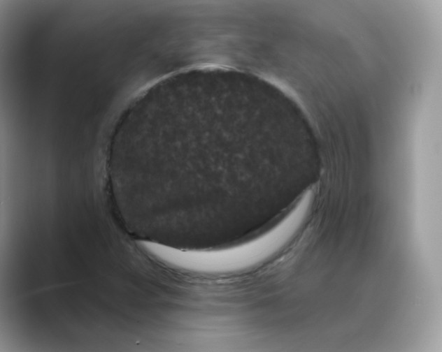 X0000089741359200707051749