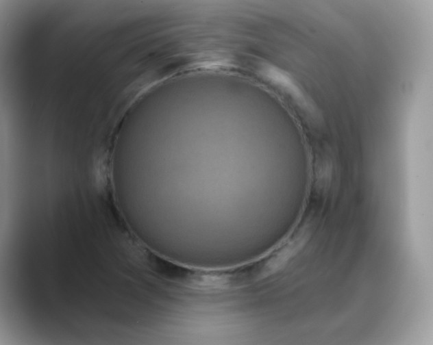 X0000089741361200707051749