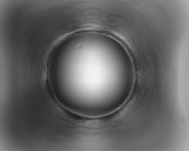 X0000089741363200707051749