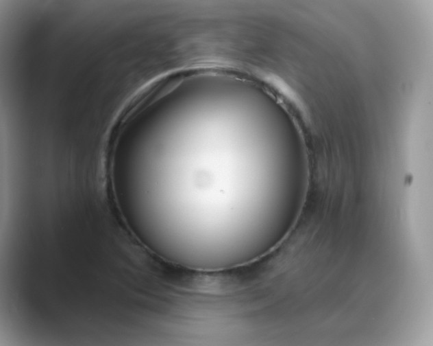 X0000089741364200707051749