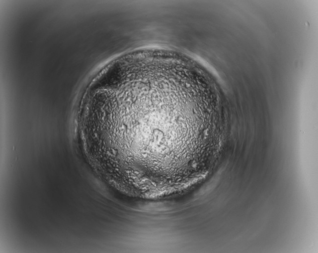 X0000089741367200707051749