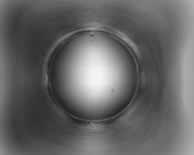 X0000089741368200707051749