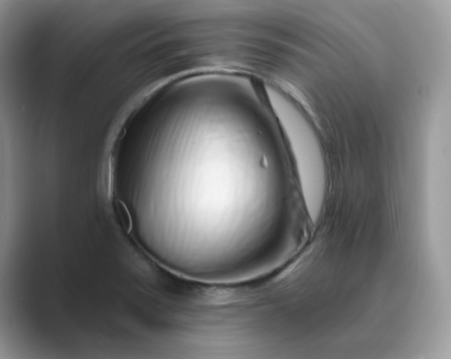 X0000089741371200707051749