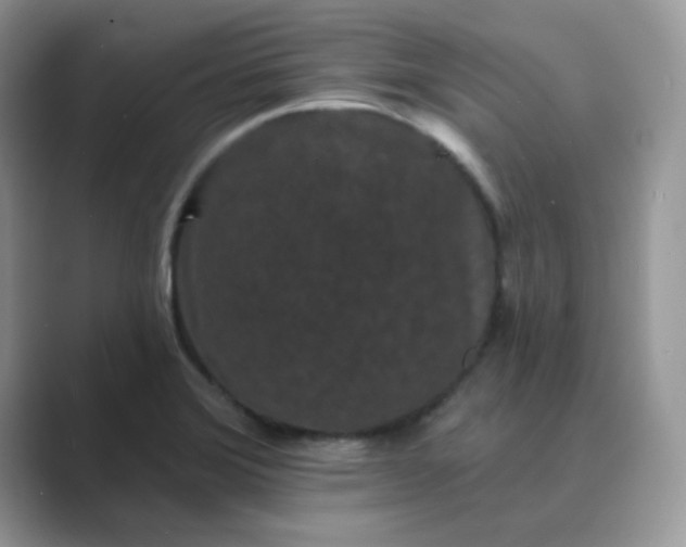 X0000089741372200707051749