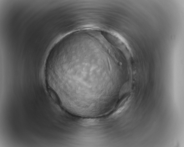 X0000089741373200707051749