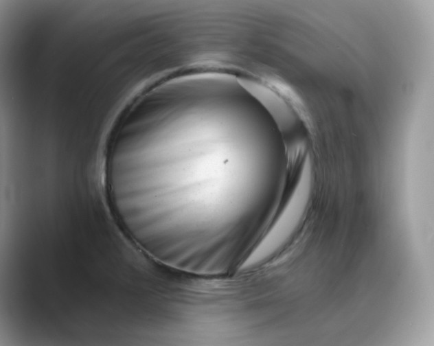 X0000089741376200707051749