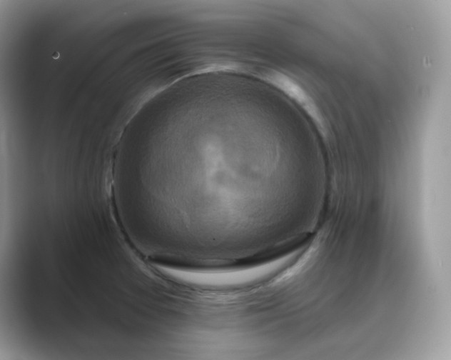 X0000089741377200707051749