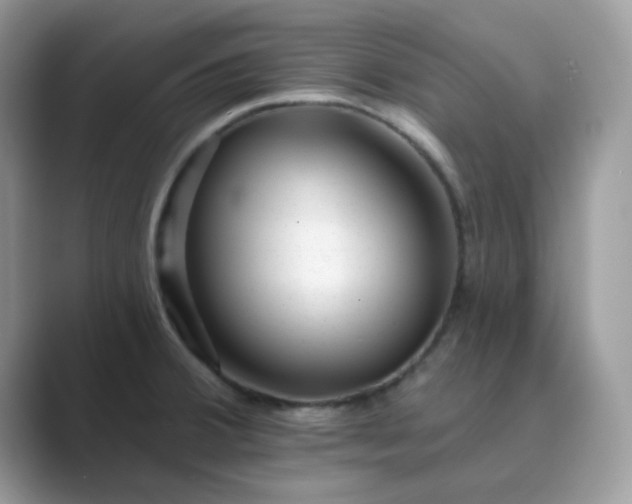 X0000089741380200707051749