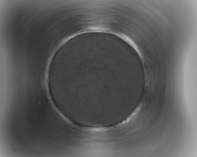 X0000089741381200707051749