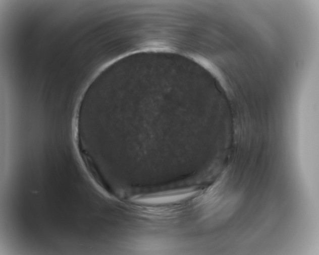 X0000089741383200707051749