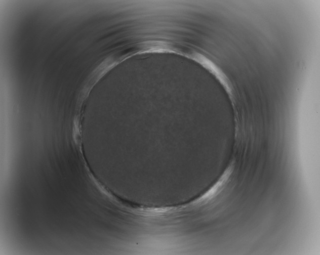 X0000089741385200707051749