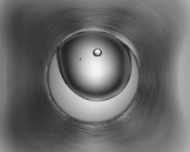 X0000089741388200707051749