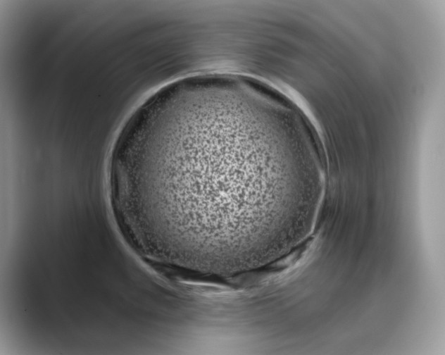 X0000089741389200707051749