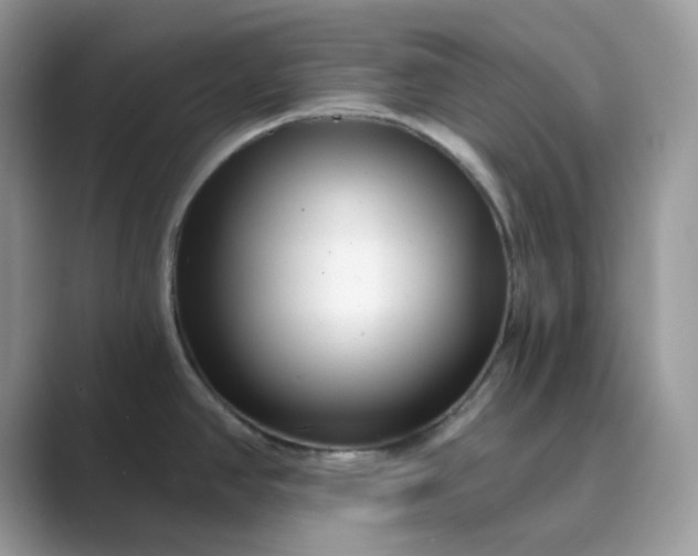 X0000089741390200707051749