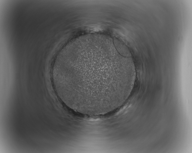 X0000089741393200707051748