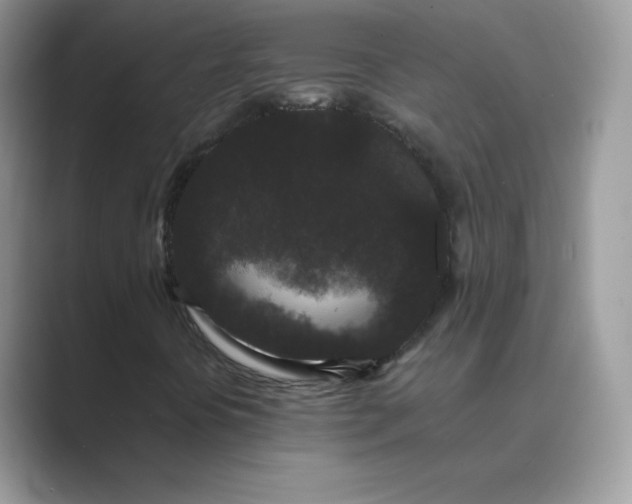 X0000089741394200707051748