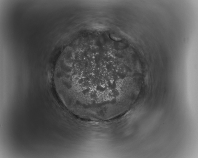 X0000089741397200707051748