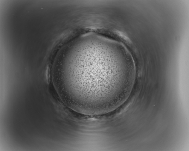 X0000089741398200707051748