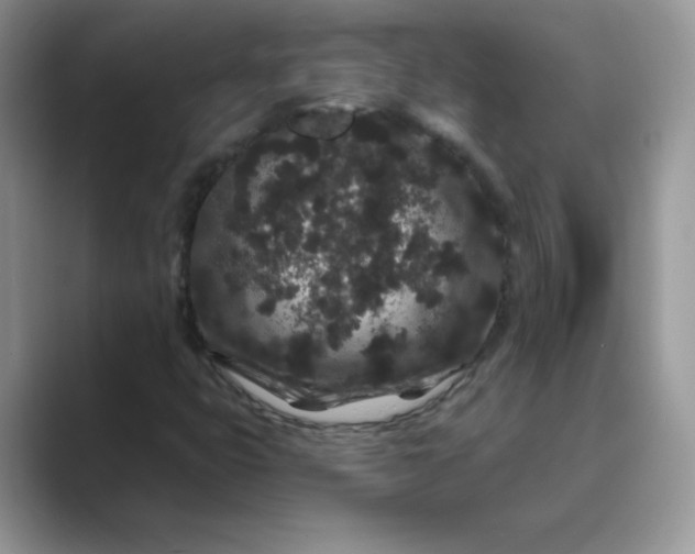 X0000089741399200707051748