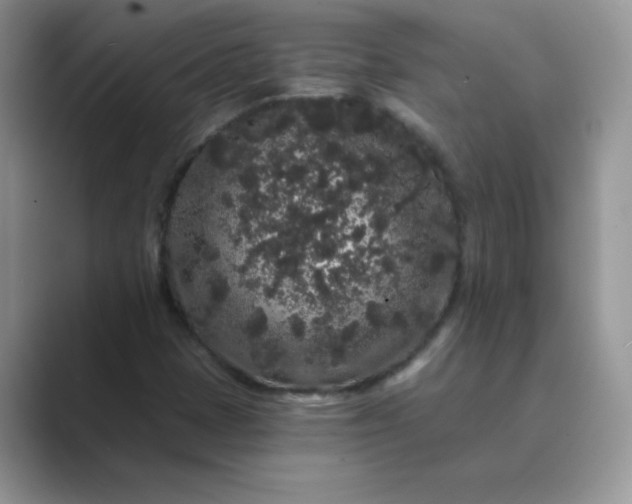 X0000089741401200707051748